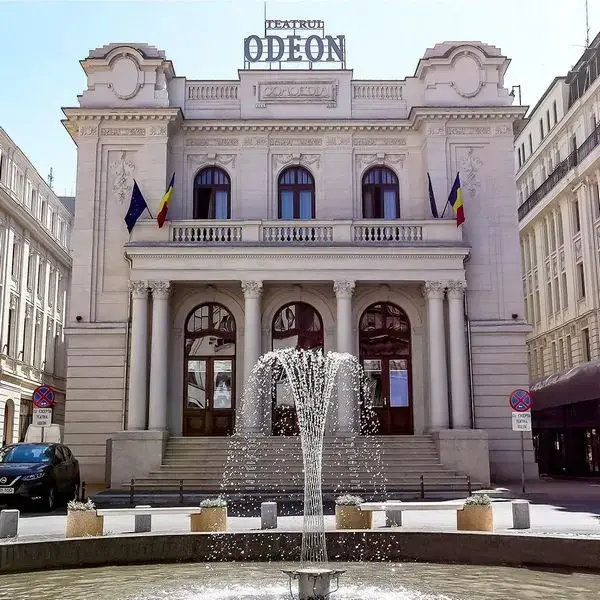 Tâmplărie Lemn Stratificat, Teatrul Odeon, uși, ferestre